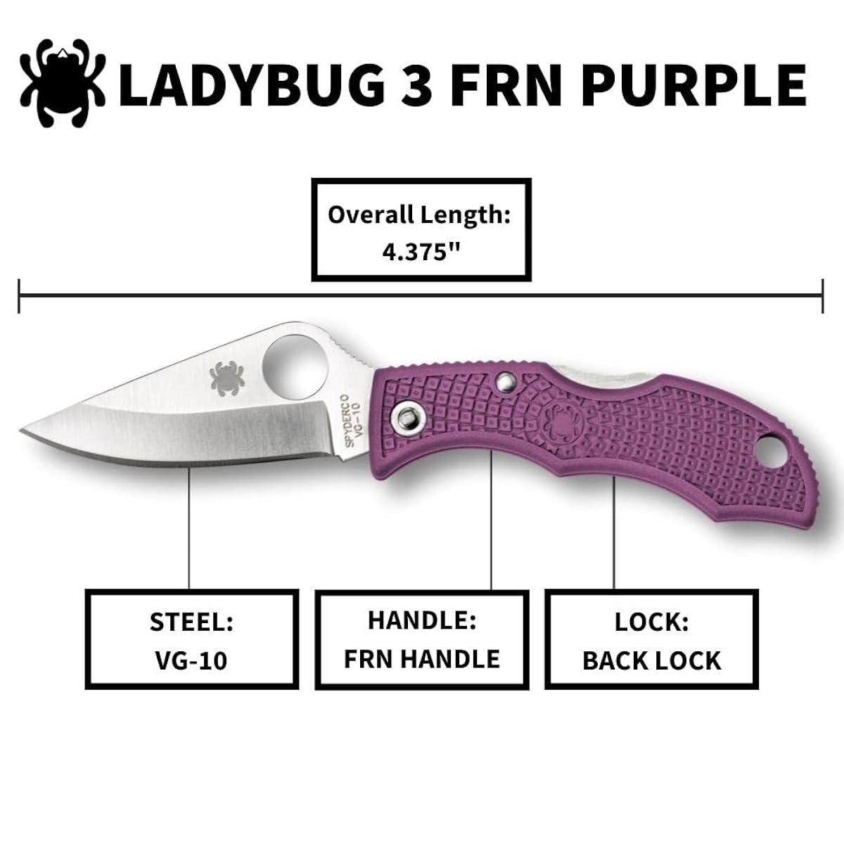 Spyderco Ladybug Purple LPRP3 pocket knife