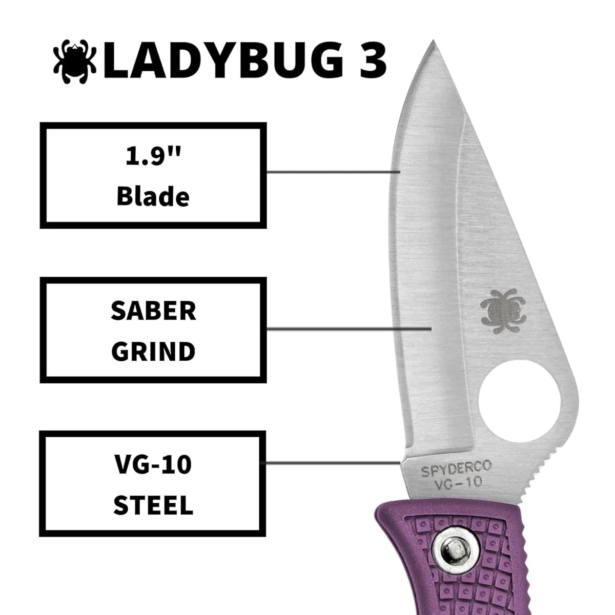 Spyderco Ladybug Purple LPRP3 pocket knife