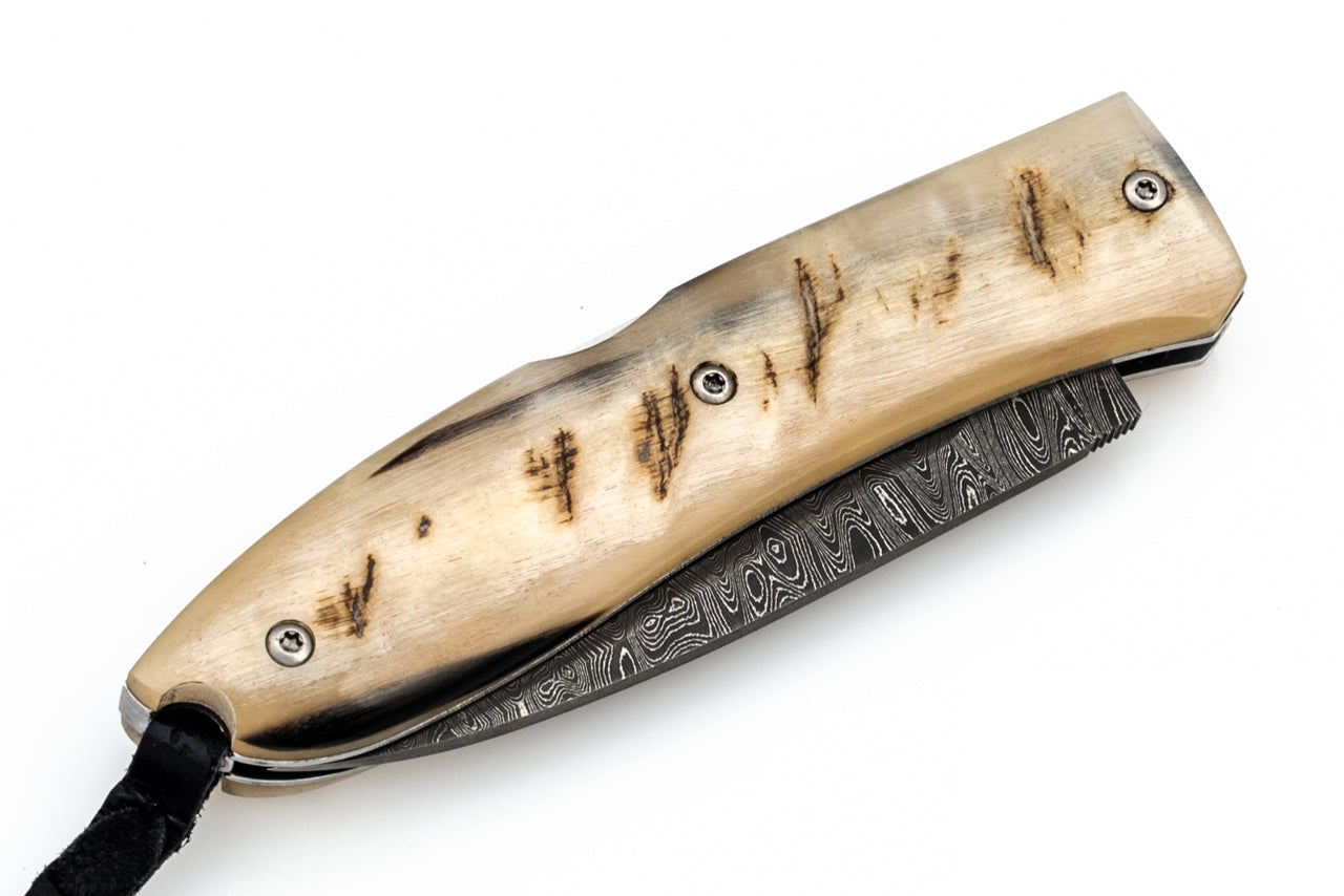 LIONSTEEL | Opera Folding Damascus | Ram Horn | 8800D MN