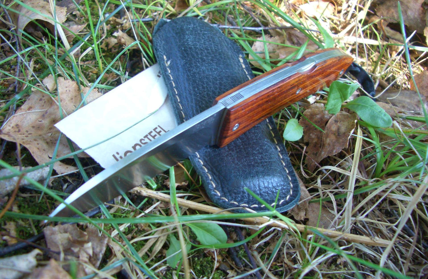 Opera Classic - Olive wood handle 8800 UL