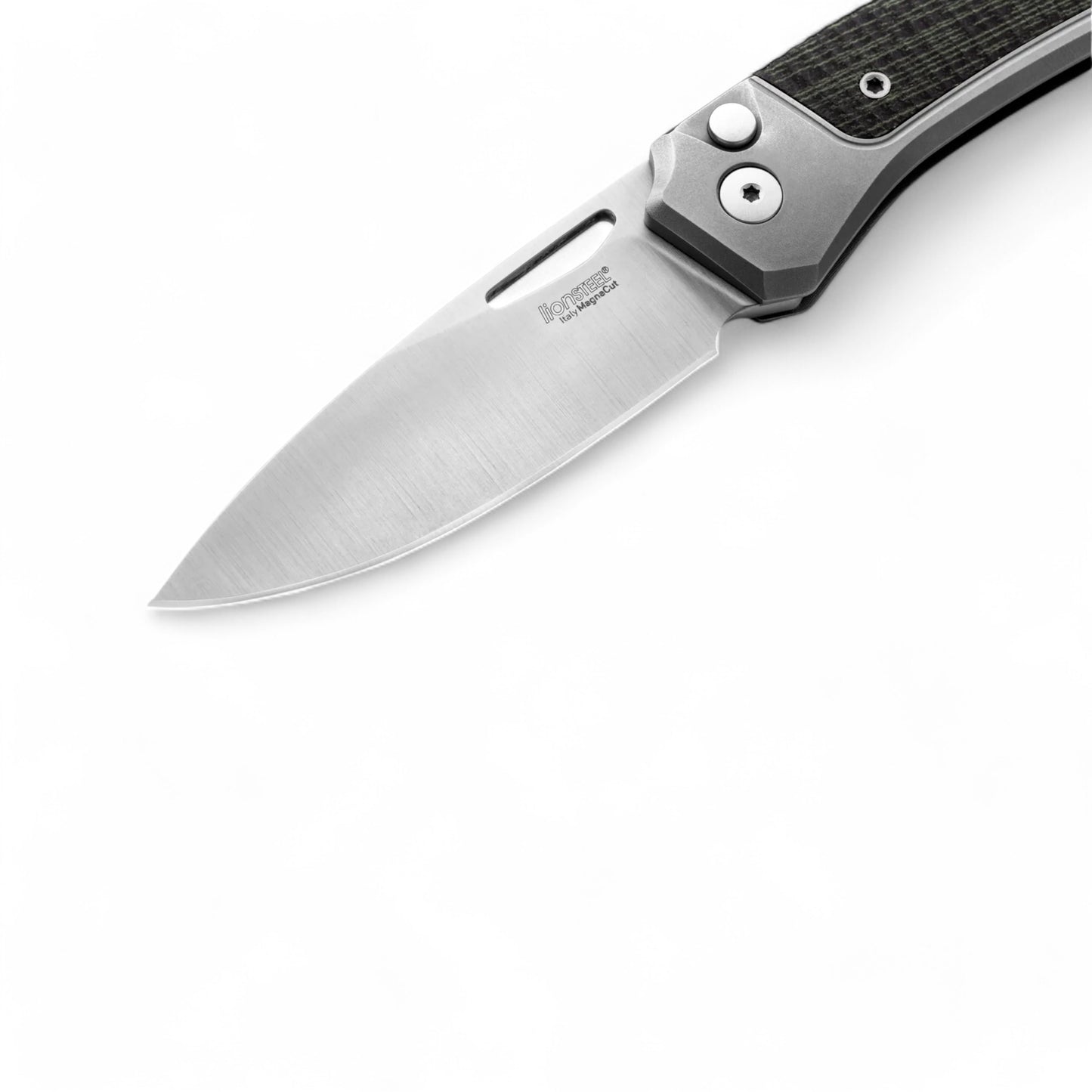 LIONSTEEL | Twain - Gray titanium | Green canvas | TW GY CVG