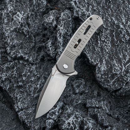 ROCK SAPPHIRE | LINER LOCK | D2 | SILVER TITANIUM | ZD-113S