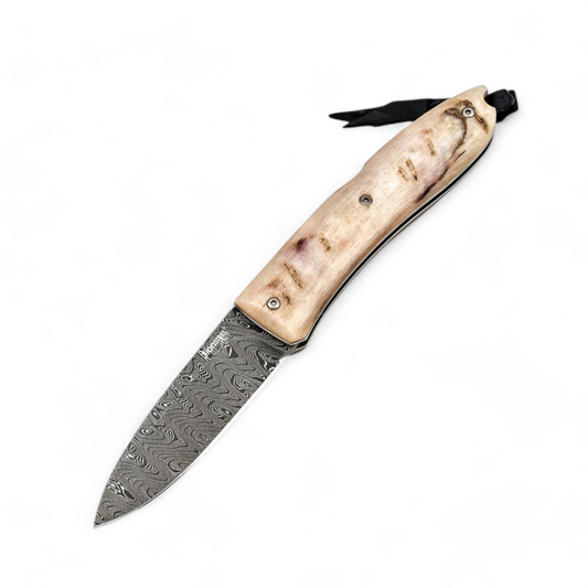 LIONSTEEL | Opera Folding Damascus | Ram Horn | 8800D MN