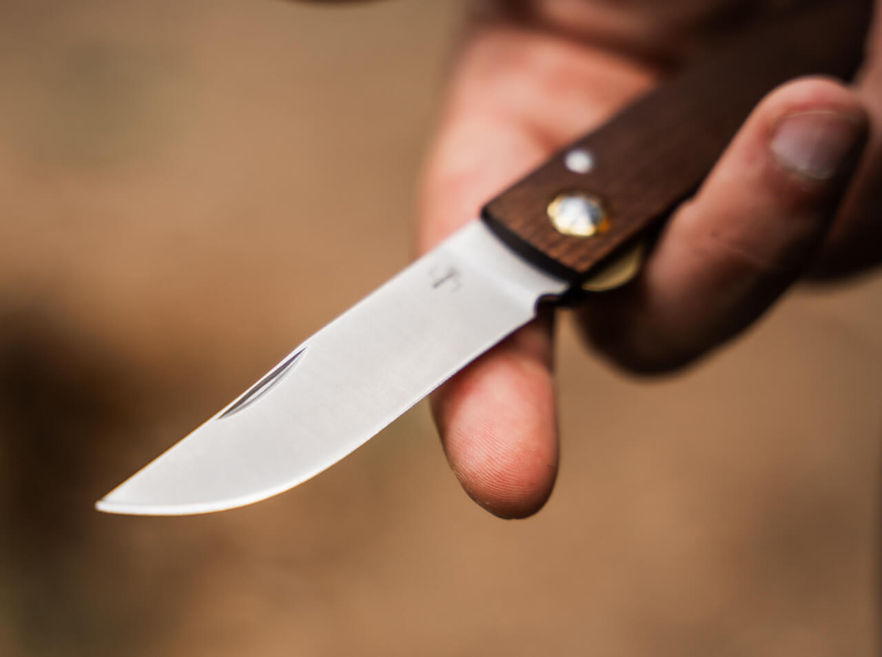 Close-up of a hand holding a knife with a wooden handle against a blurred background