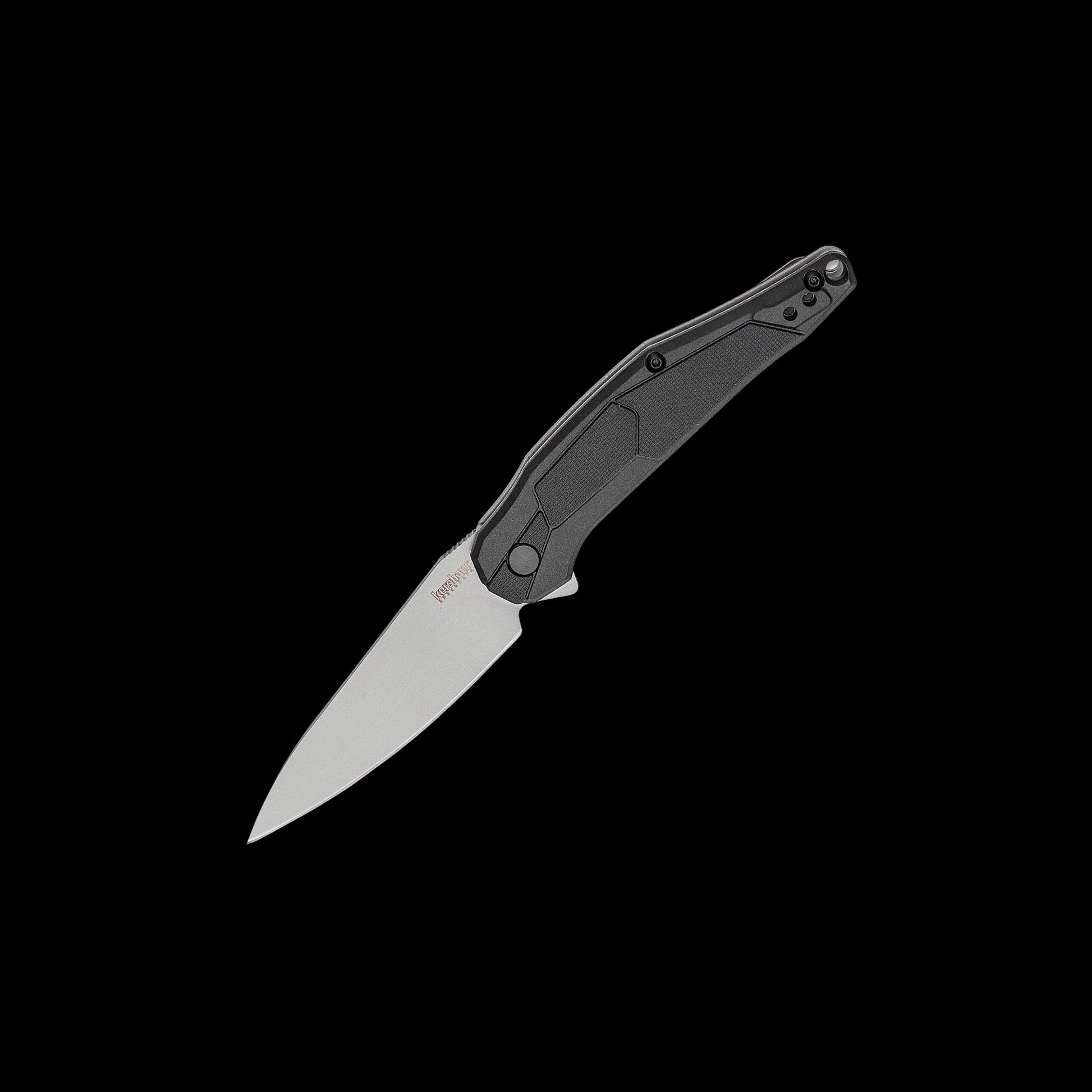 Kershaw Lightyear 1395 assisted folding knife with bead-blasted spear-point blade and black GFN handle