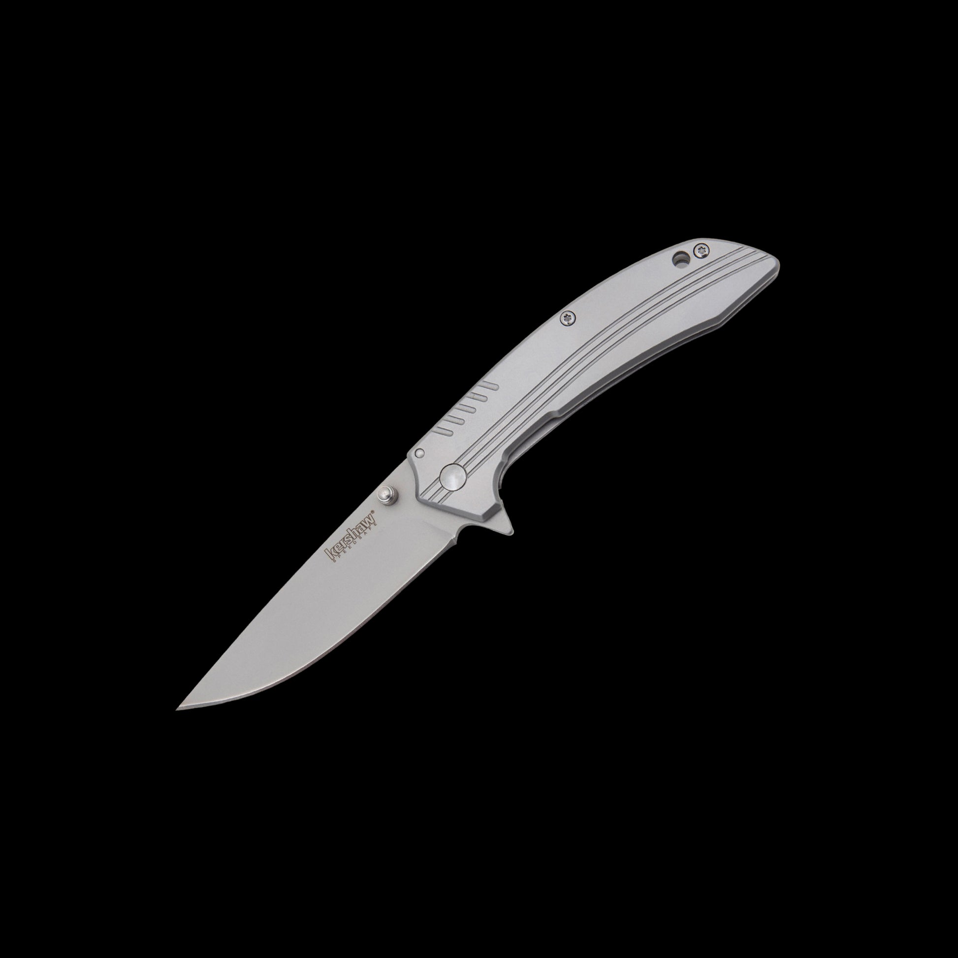 Kershaw Shroud 1349 assisted folding knife with drop-point blade and grey stainless-steel handle