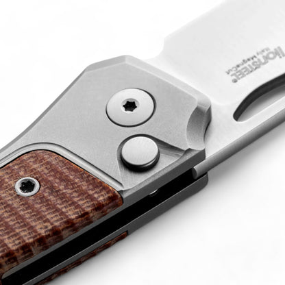 LIONSTEEL | Twain - Gray titanium | Natural canvas | TW GY CVN